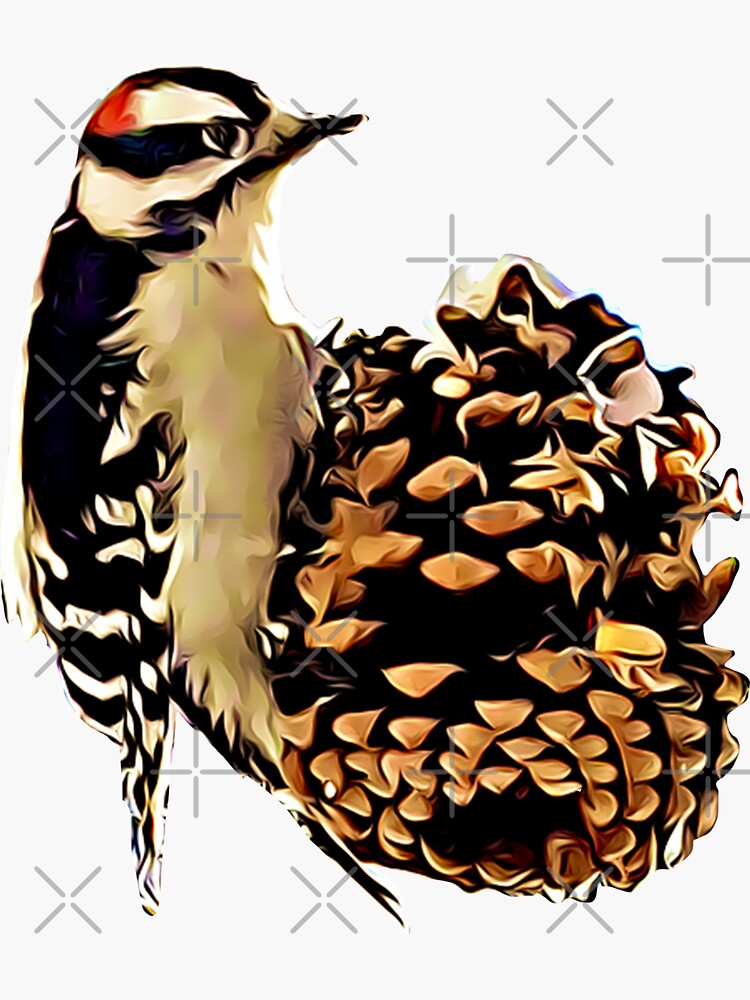 Downy Woodpecker On A Pinecone Sticker By Emilybickell Redbubble