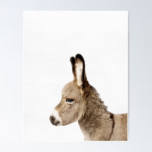 Item preview, Donkey print, Nursery, Animal, Kids room, Modern art, Wall decor designed and sold by juliaemelian.
