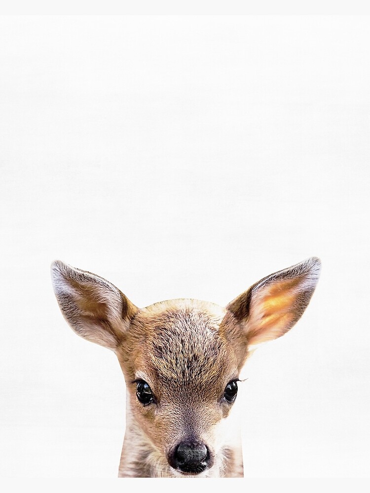 Baby deer print, Nursery, Animal, Kids room, Minimalist, Modern art, Wall  art Poster for Sale by juliaemelian