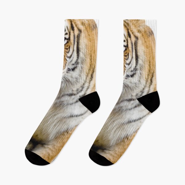 Item preview, Cat Vs Tiger designed and sold by namaganda.