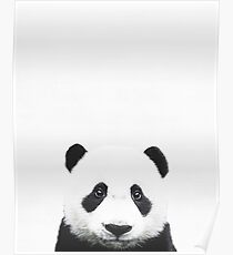 Baby Panda, Nursery, Animal, Kids room, Modern art, Wall decor Poster
