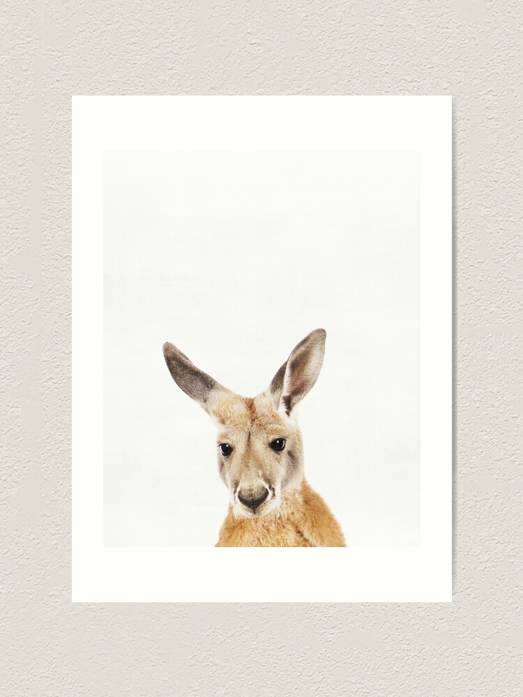 kangaroo nursery decor