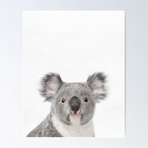 Mum And Baby Koala Wall Art Print Framed Canvas Poster – Gioia Wall Art