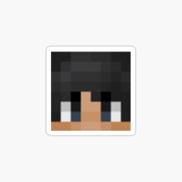 Dream Team Minecraft Skin Heads Sticker For Sale By Scaledskulls Redbubble