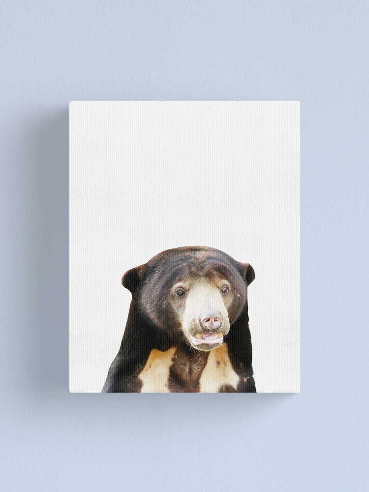 black bear nursery decor