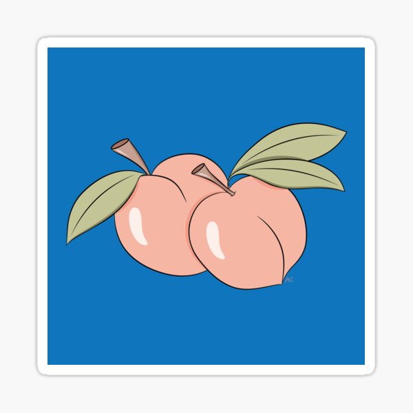 Two Peaches on Blue Background Sticker