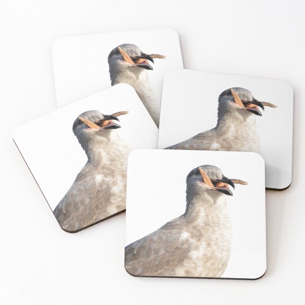 Item preview, Gull Mouth Diet designed and sold by BlueNorth.