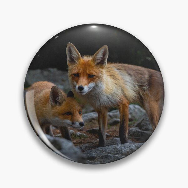Item preview, Foxes designed and sold by WTCHShowFunding.