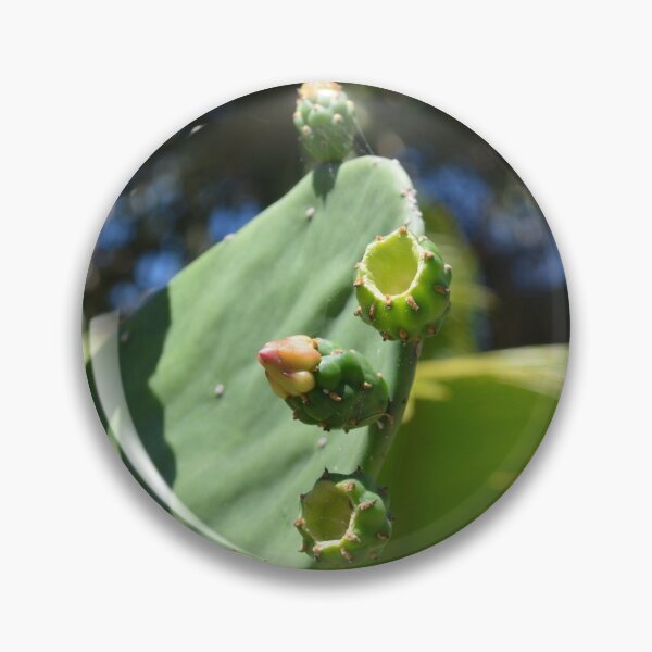 Item preview, Cactus Buds designed and sold by Ali F.