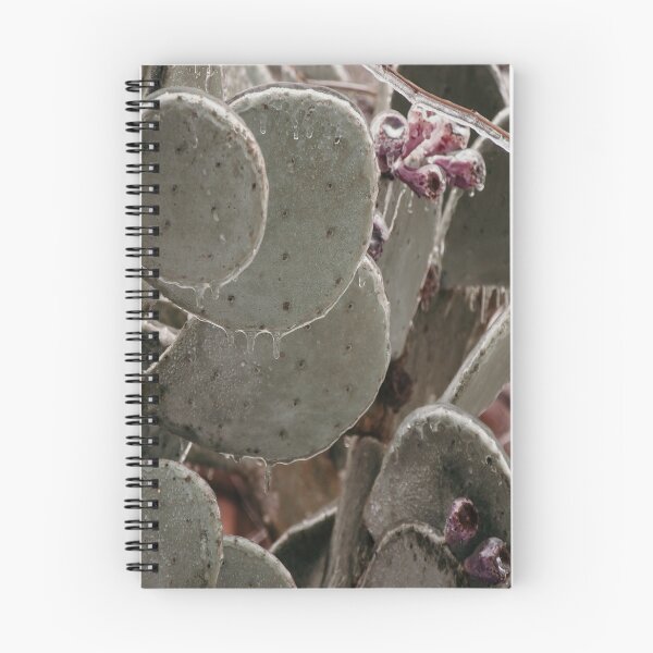 Item preview, Frozen Winter Icy Cactus Blooms designed and sold by JLPhotographer.