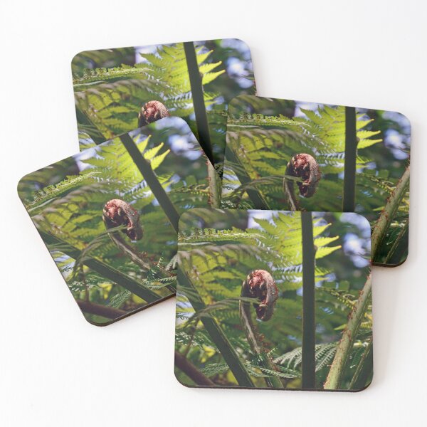 Item preview, Tree Fern Frond designed and sold by fnq-photography.