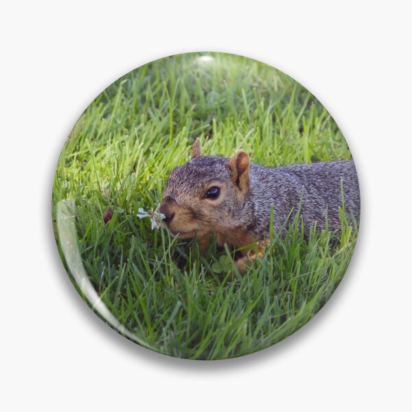 Item preview, Squirrel Smelling the Flowers.  designed and sold by OneCreativePup.