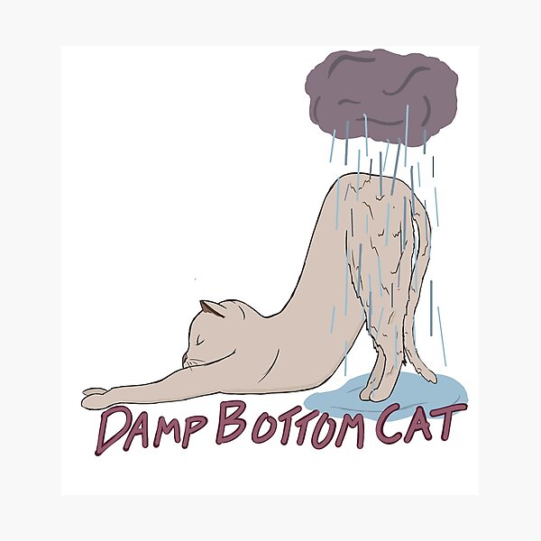 Damp Bottom Cat Tan Photographic Print