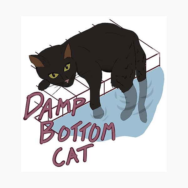 Damp Bottom Cat Black Photographic Print
