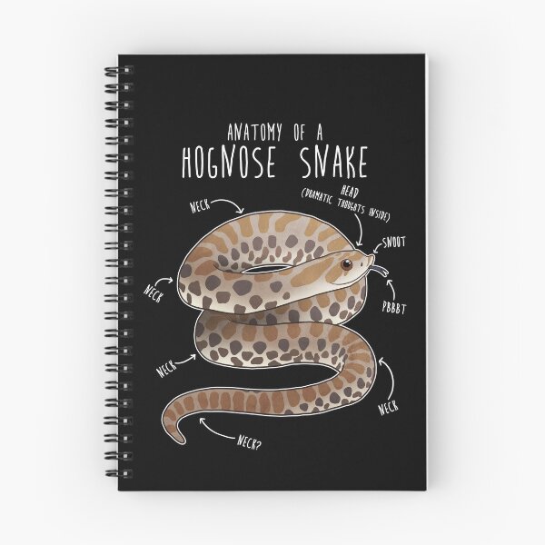 Item preview, Anatomy of a Hognose Snake designed and sold by Clara Hollins.