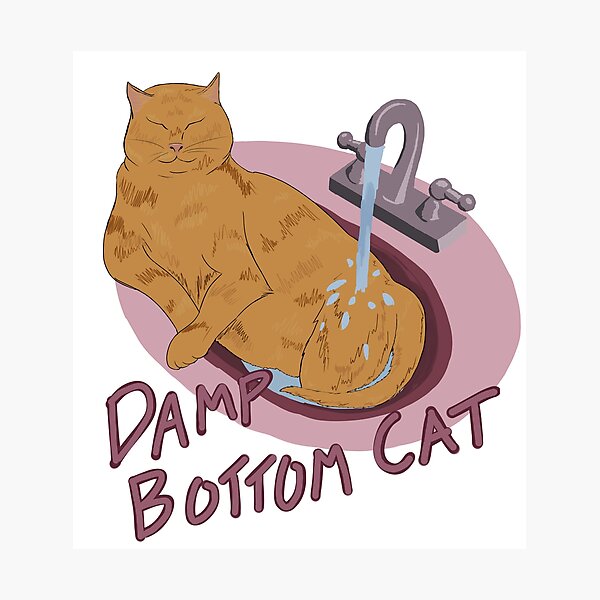 Damp Bottom Cat Orange Photographic Print