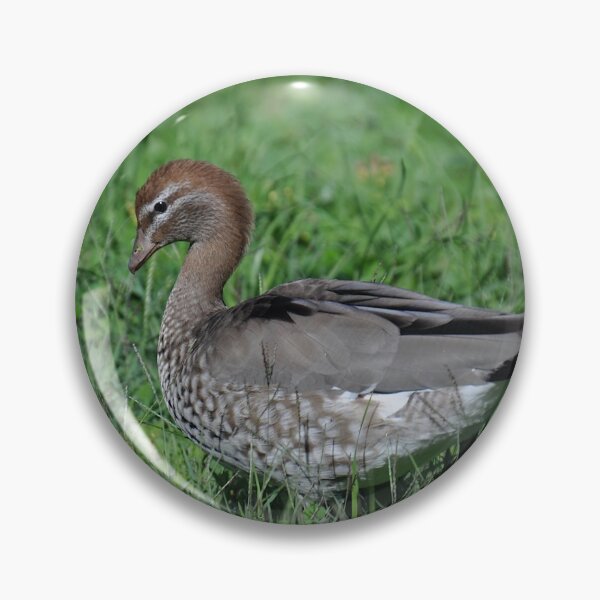 Item preview, Duck, Parramatta, Australia 2019 designed and sold by muz2142.