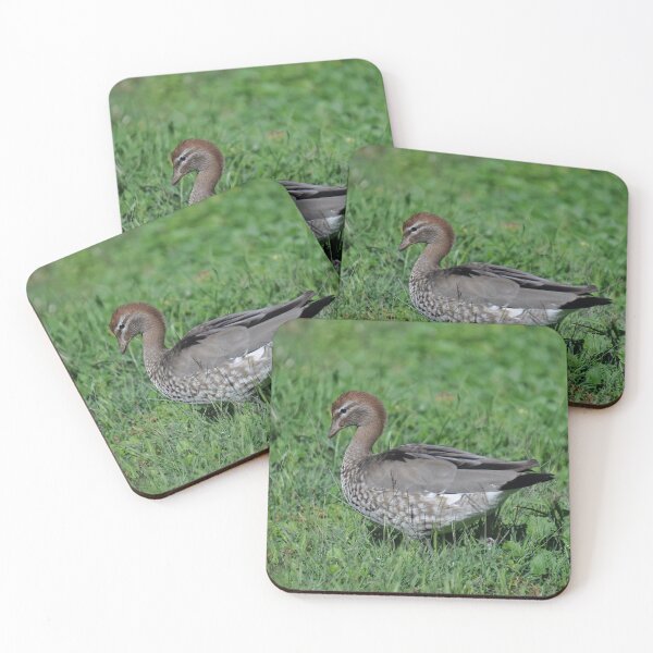 Item preview, Duck, Parramatta, Australia 2019 designed and sold by muz2142.
