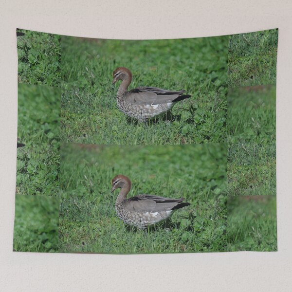 Item preview, Duck, Parramatta, Australia 2019 designed and sold by muz2142.