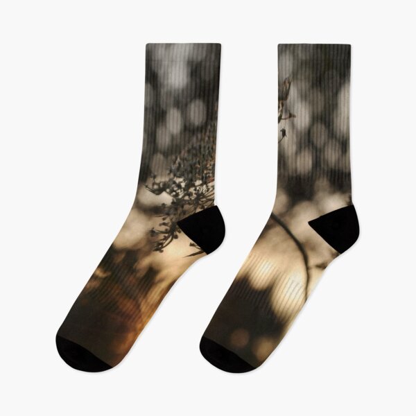 Item preview, Golden Hour Flower designed and sold by JLPhotographer.
