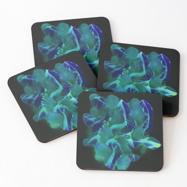 Item preview, Kontakt 5 designed and sold by dirtywaters.