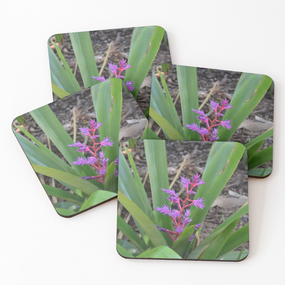 Item preview, Coasters (Set of 4) designed and sold by -Alice-R-.