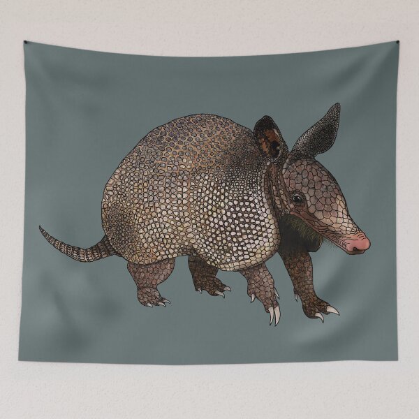 Item preview, Armadillo - Little Armoured One designed and sold by creativekeener.