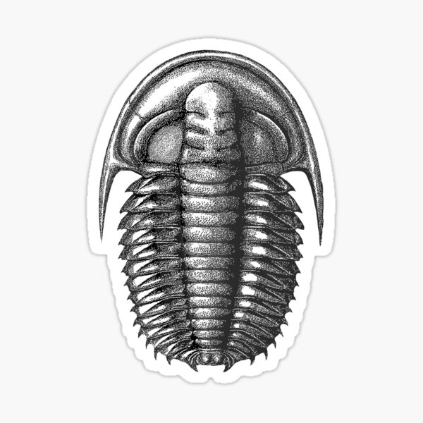 Item preview, Cambrian trilobite - Estaingia bilobata designed and sold by Katrina Kenny.