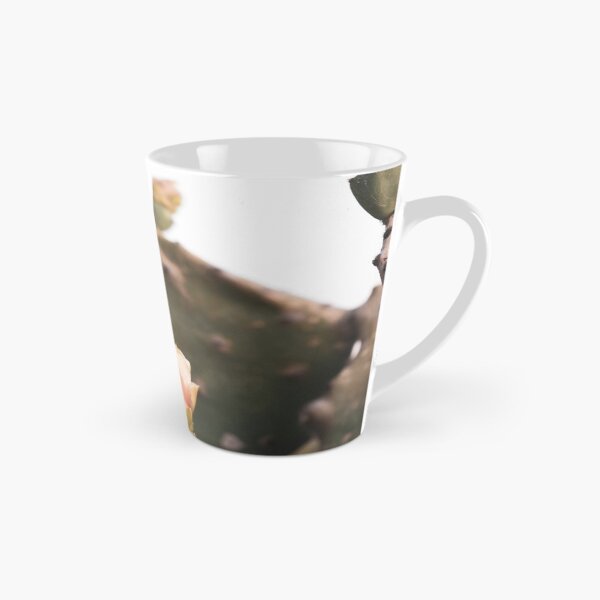Item preview, Vintage Cactus Blooms designed and sold by JLPhotographer.