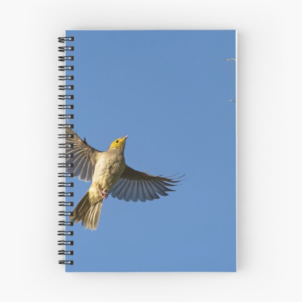Item preview, Final Approach designed and sold by David  Hibberd.