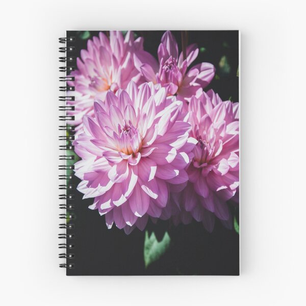 Item preview, Dalias de color morado pastel designed and sold by JLPhotographer.