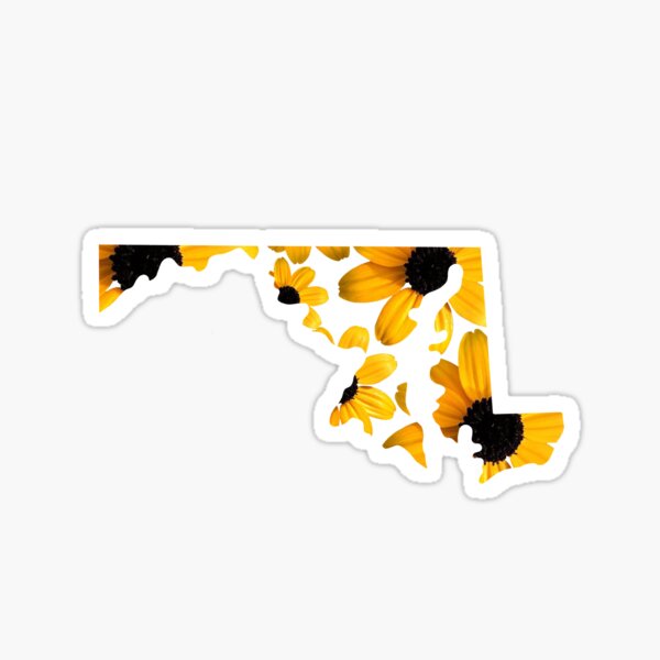 Item preview, Maryland State Flower designed and sold by johnsont44.