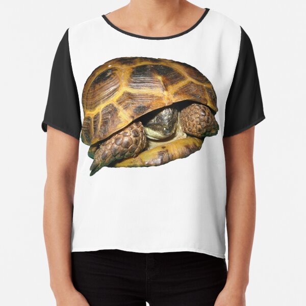 Greek Tortoises in Shell Chiffon Top
