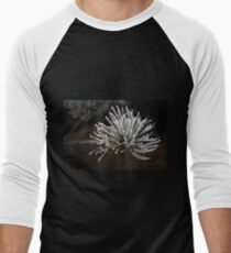 PomPom Men's Baseball ¾ T-Shirt