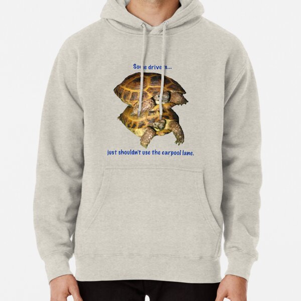 Tortoises - Some people shouldn't use the car pool lane Pullover Hoodie
