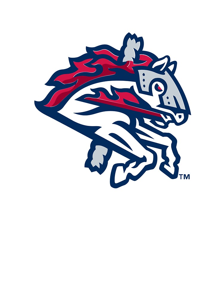 Binghamton Rumble Ponies