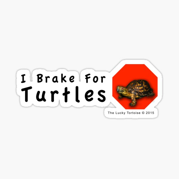 I Brake for Turtles Sticker