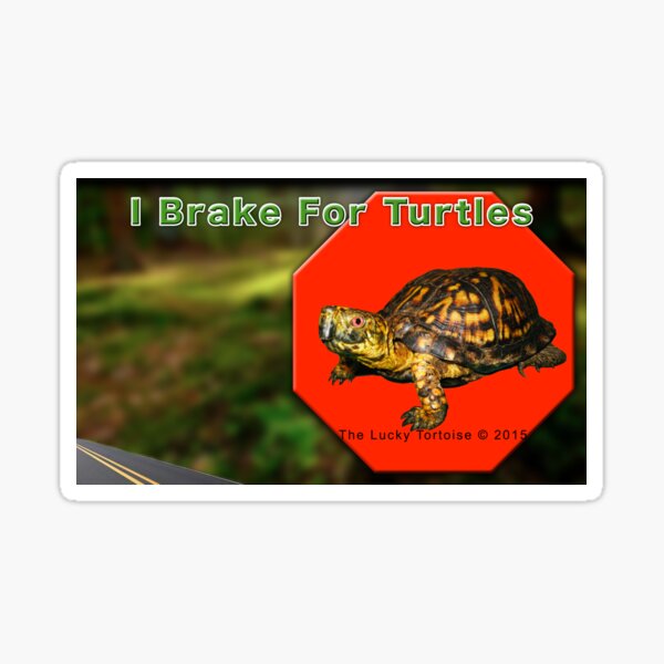 I Brake for Turtles Sticker