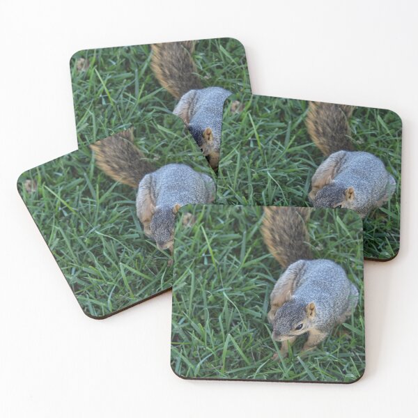 Item preview, Sitting Squirrel from Above designed and sold by OneCreativePup.