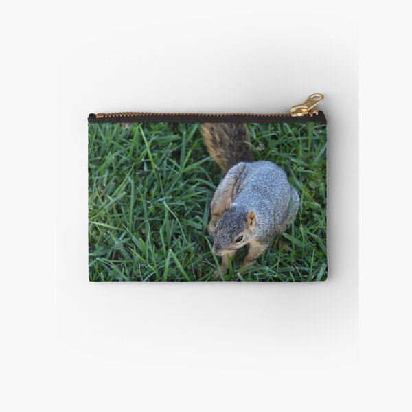 Item preview, Sitting Squirrel from Above designed and sold by OneCreativePup.
