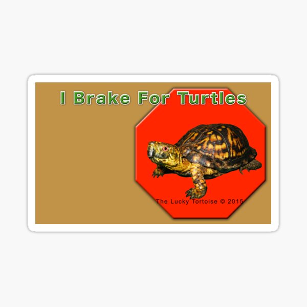 I Brake for Turtles Sticker