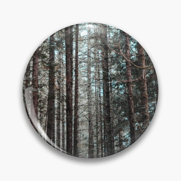 Artikelvorschau, PNW Forest am frühen Morgen entworfen und verkauft von cdurenphoto.