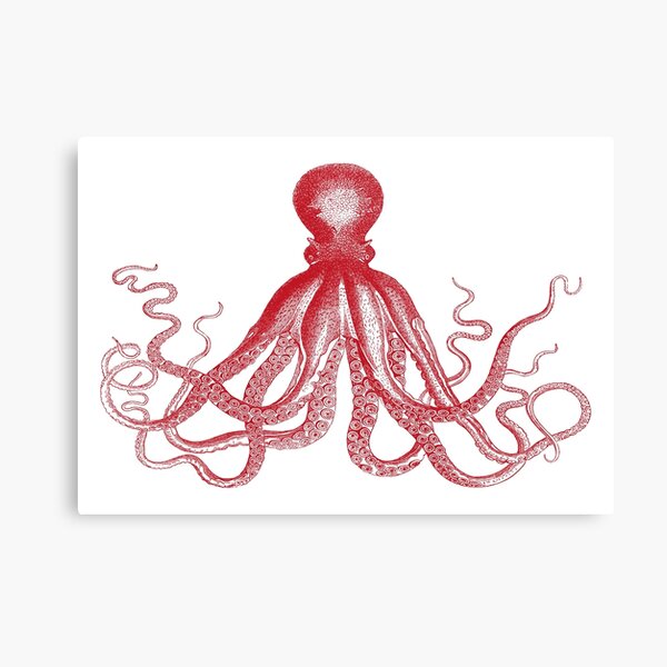 Octopus | Vintage Octopus | Tentacles | Sea Creatures | Nautical | Ocean | Sea | Beach | Red and White |  Canvas Print