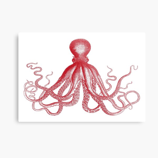 Octopus | Vintage Octopus | Tentacles | Sea Creatures | Nautical | Ocean | Sea | Beach | Red and White | Metal Print