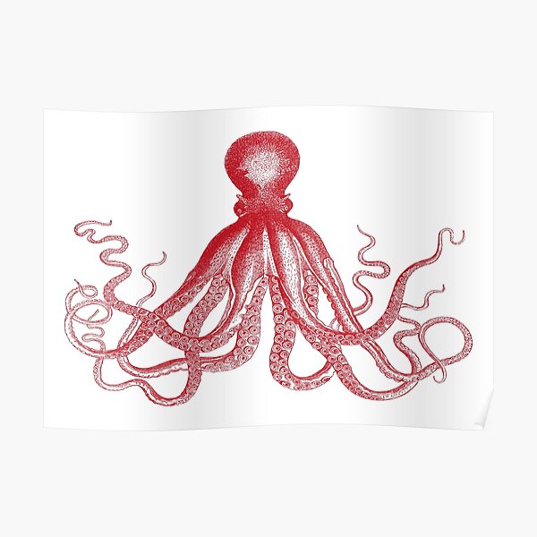 Octopus | Vintage Octopus | Tentacles | Sea Creatures | Nautical | Ocean | Sea | Beach | Red and White | Poster
