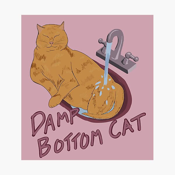 Damp Bottom Cat Orange (Pink) Photographic Print