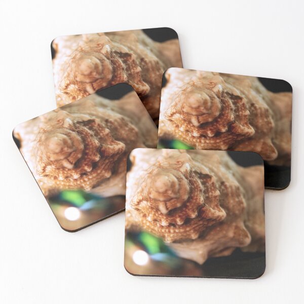 Item preview, Sea shell designed and sold by Lee's Place.