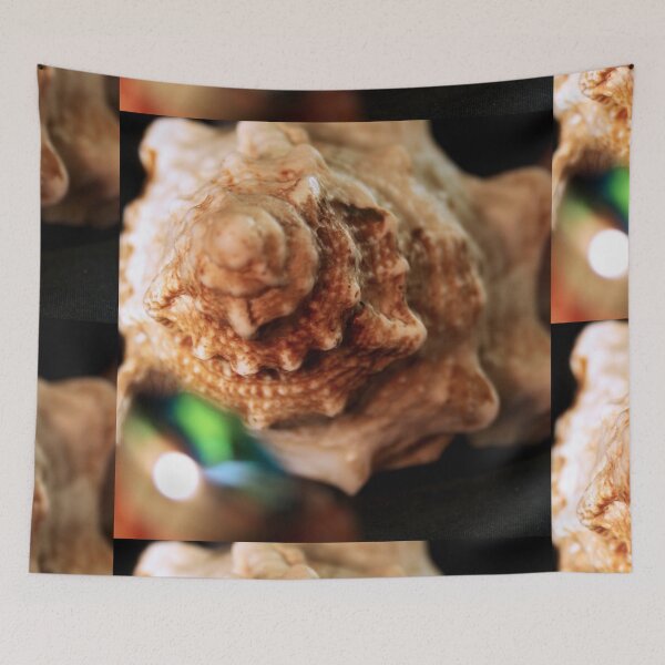 Item preview, Sea shell designed and sold by Lee's Place.