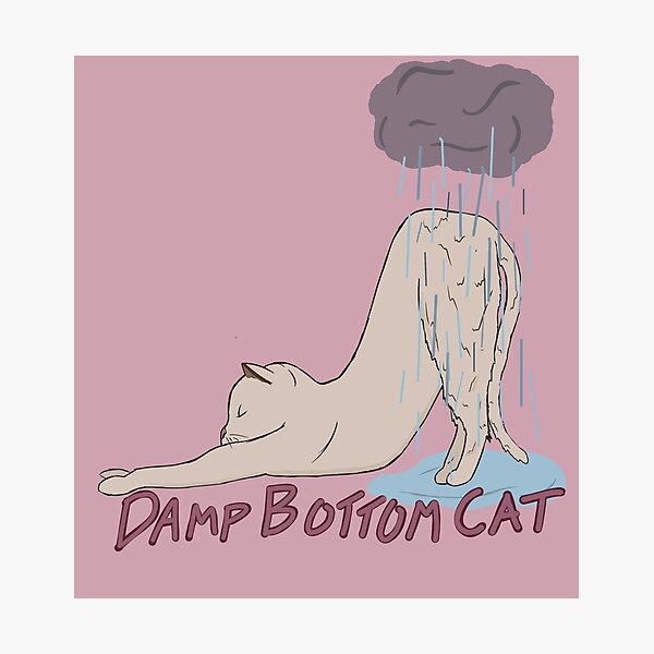 Damp Bottom Cat Tan (Pink) Photographic Print