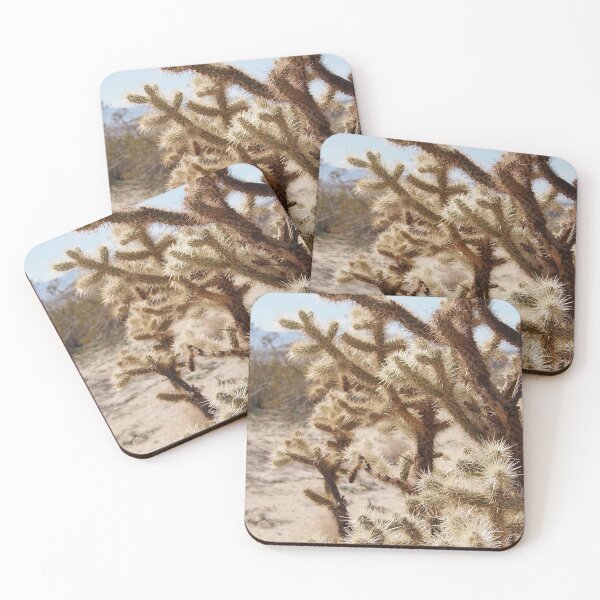Item preview, Cholla Cactus, Lancaster, California designed and sold by Douglas E. Welch Design and Photography.